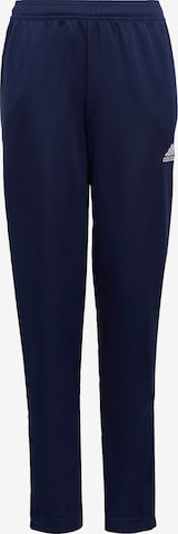 ADIDAS PERFORMANCE Regular Workout Pants 'Entrada 22' in Blue: front